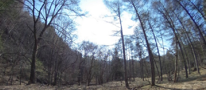 91s93v8b8589e6919c___ricoh_theta.jpg